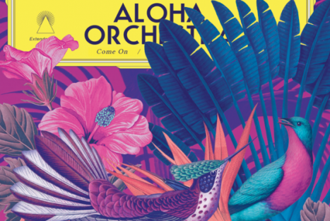 Aloha Orchestra : financement participatif!