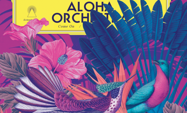 Aloha Orchestra : financement participatif!
