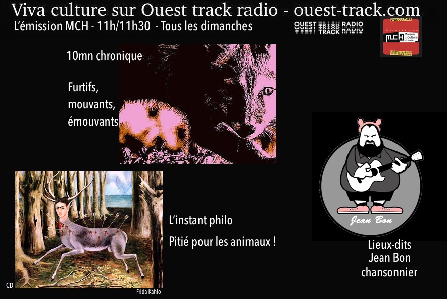 Pitié pour les animaux !