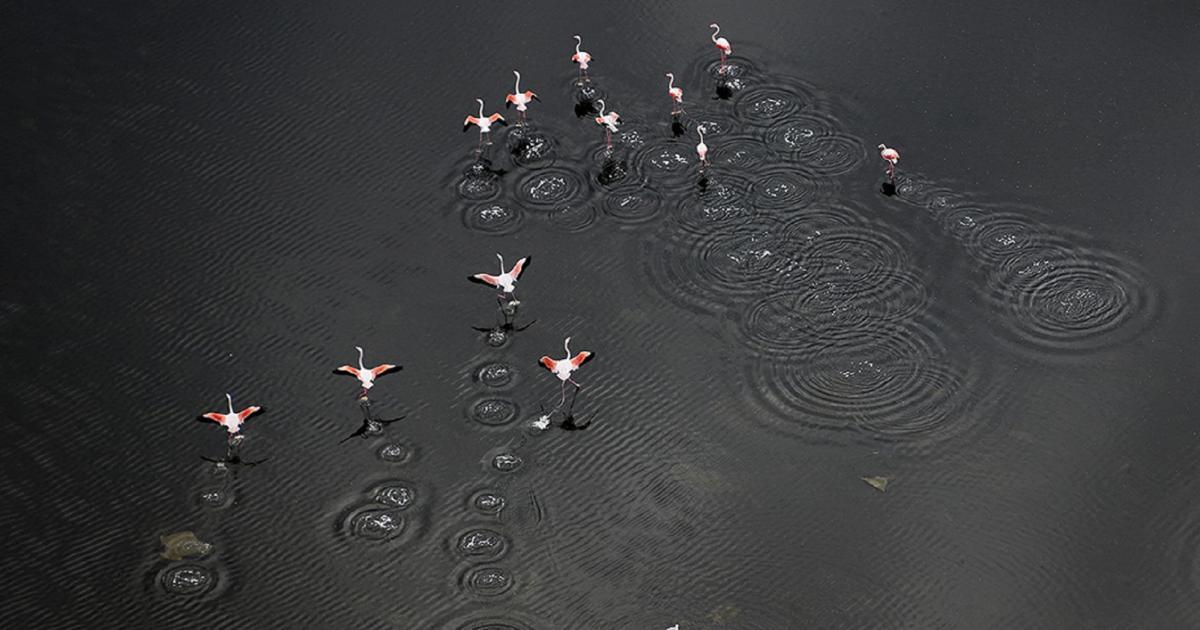 SPOT NATURE 31 MAI / 2 JUIN 2024