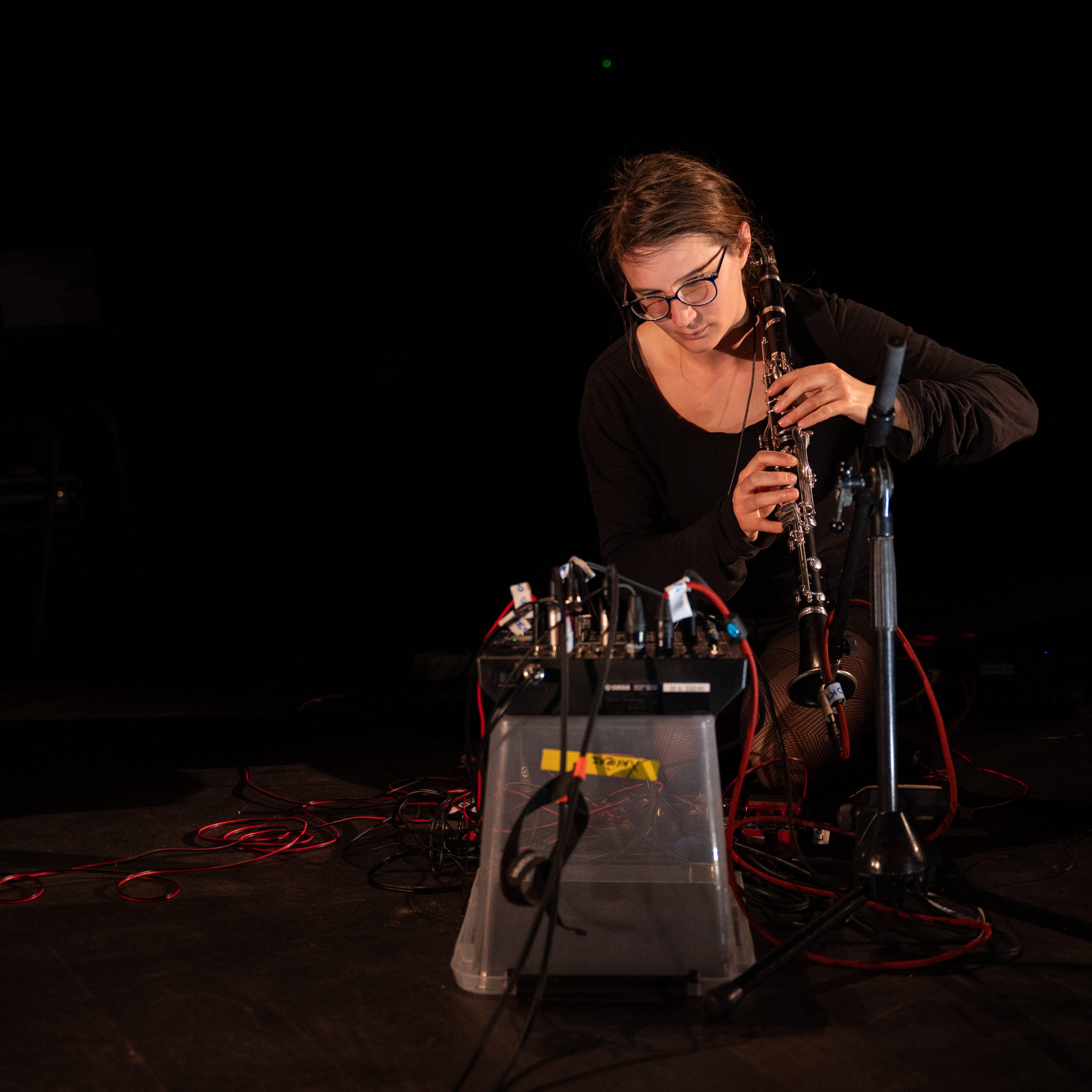 Une grande aventure musicale ! Festival « Pour les oiseaux »