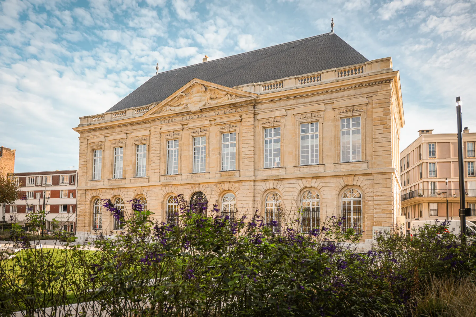 Le Muséum d&rsquo;histoire naturelle rénové rouvre le 13 décembre 2025