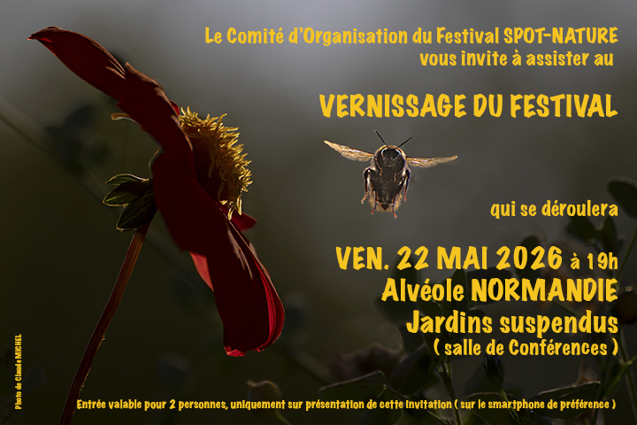 fleur et insecte
