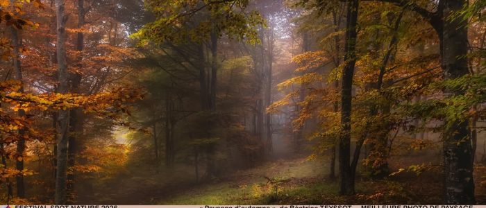 spot nature1
